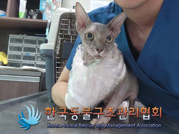 한국동물구조관리협회_441409202401625